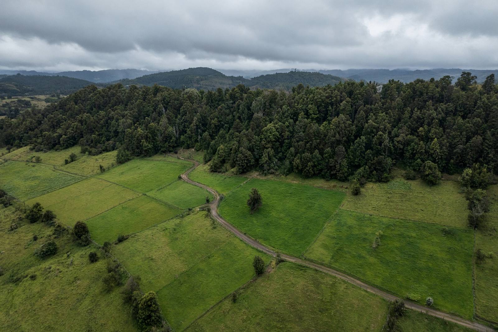 Campos agrícolas y bosque nativo en La Araucanía